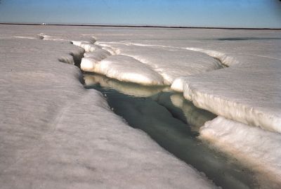 Arctic_ice_melt-fot.Wikimedia Commons